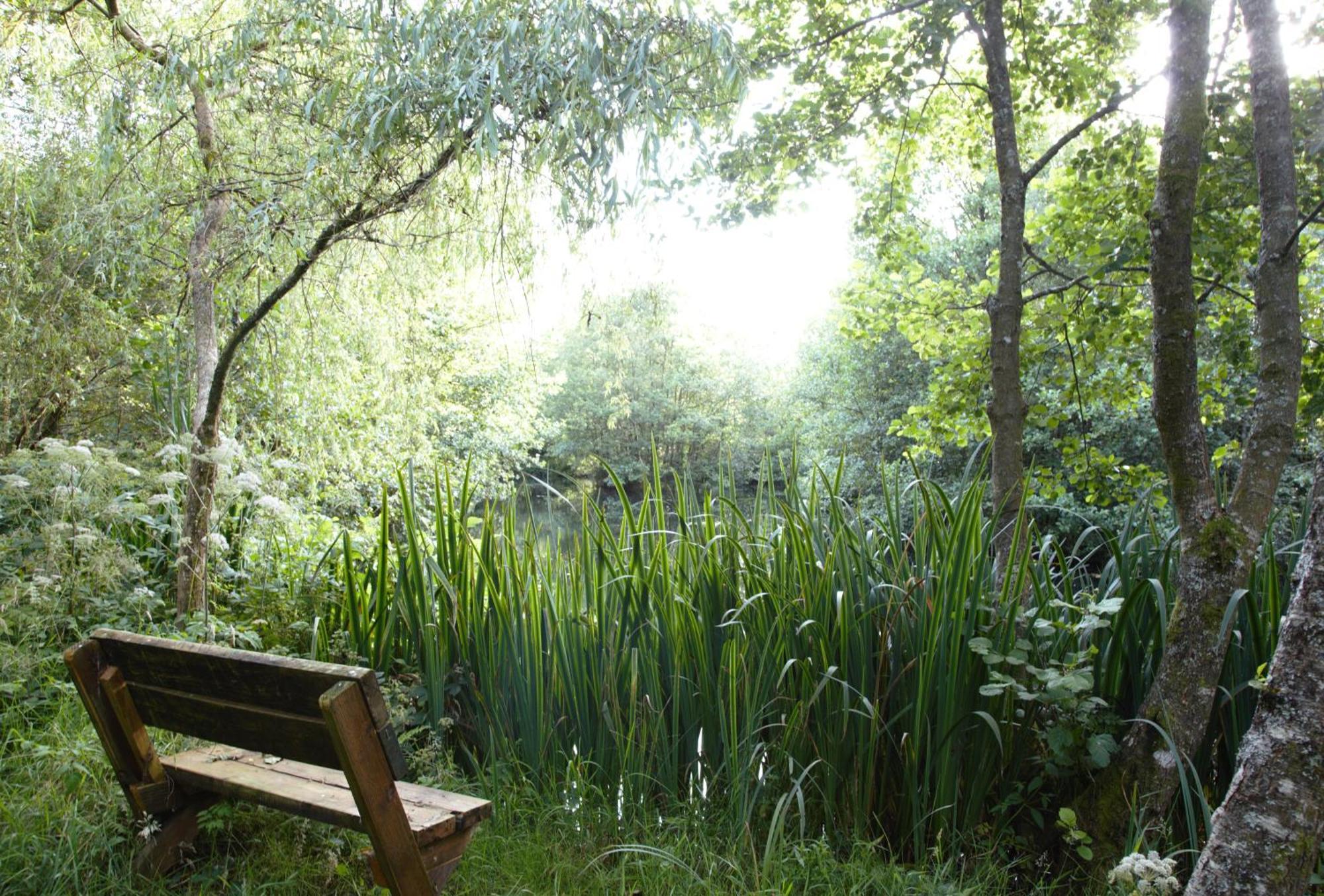 Hotel Go Eco Glamping Lampeter Exterior foto